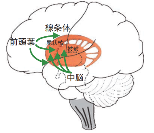 画像71.png