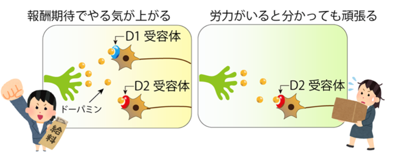 画像73.png