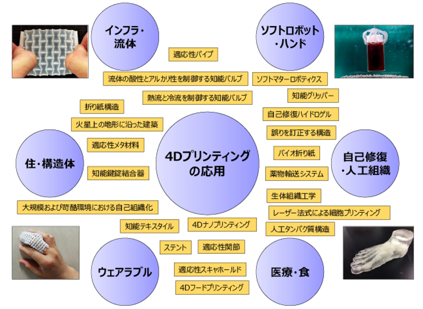 画像5.png
