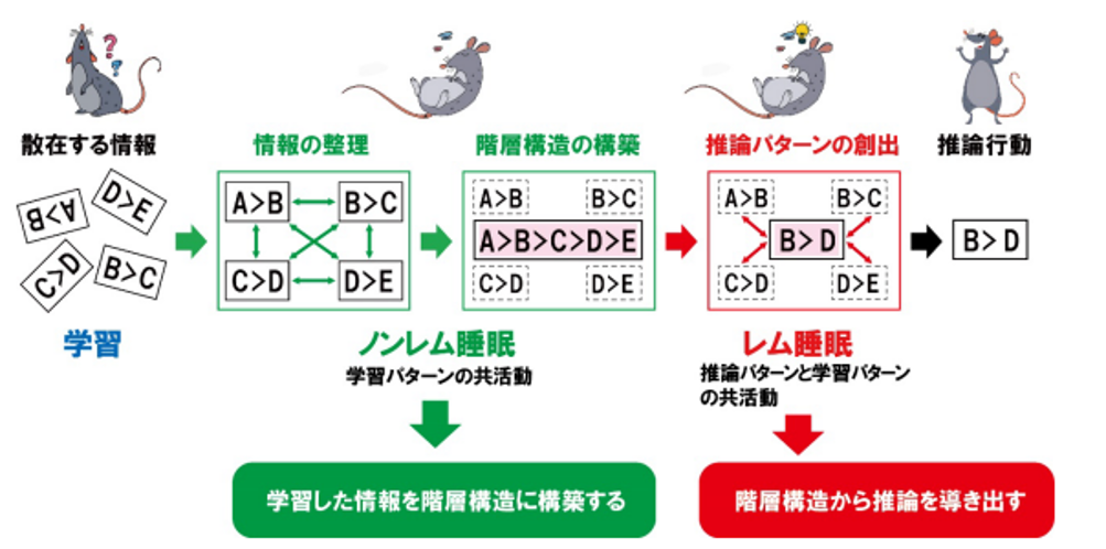 画像5.png