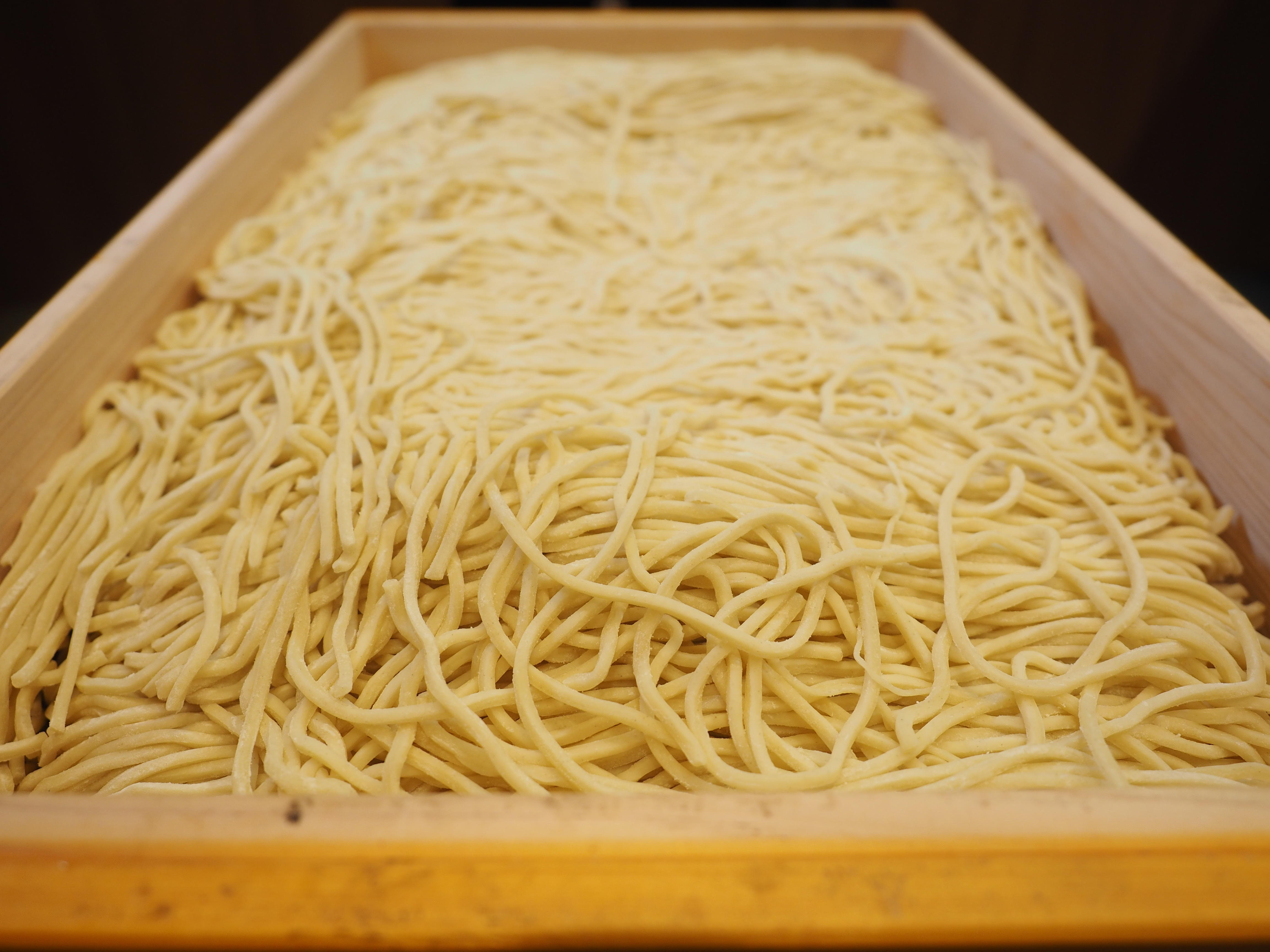 AdobeStock_454273305.jpeg