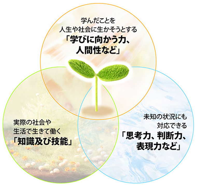 画像10.png